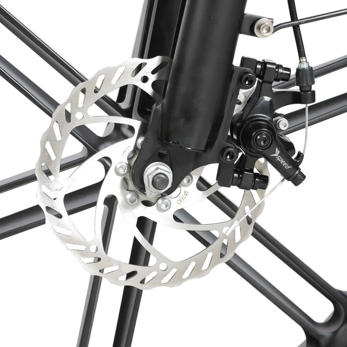 Ferox Armadillo – Fat Tire Commuter eBike