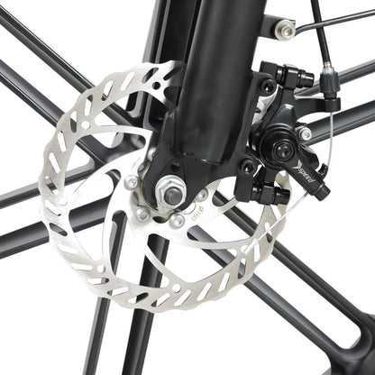 Ferox Armadillo – Fat Tire Commuter eBike