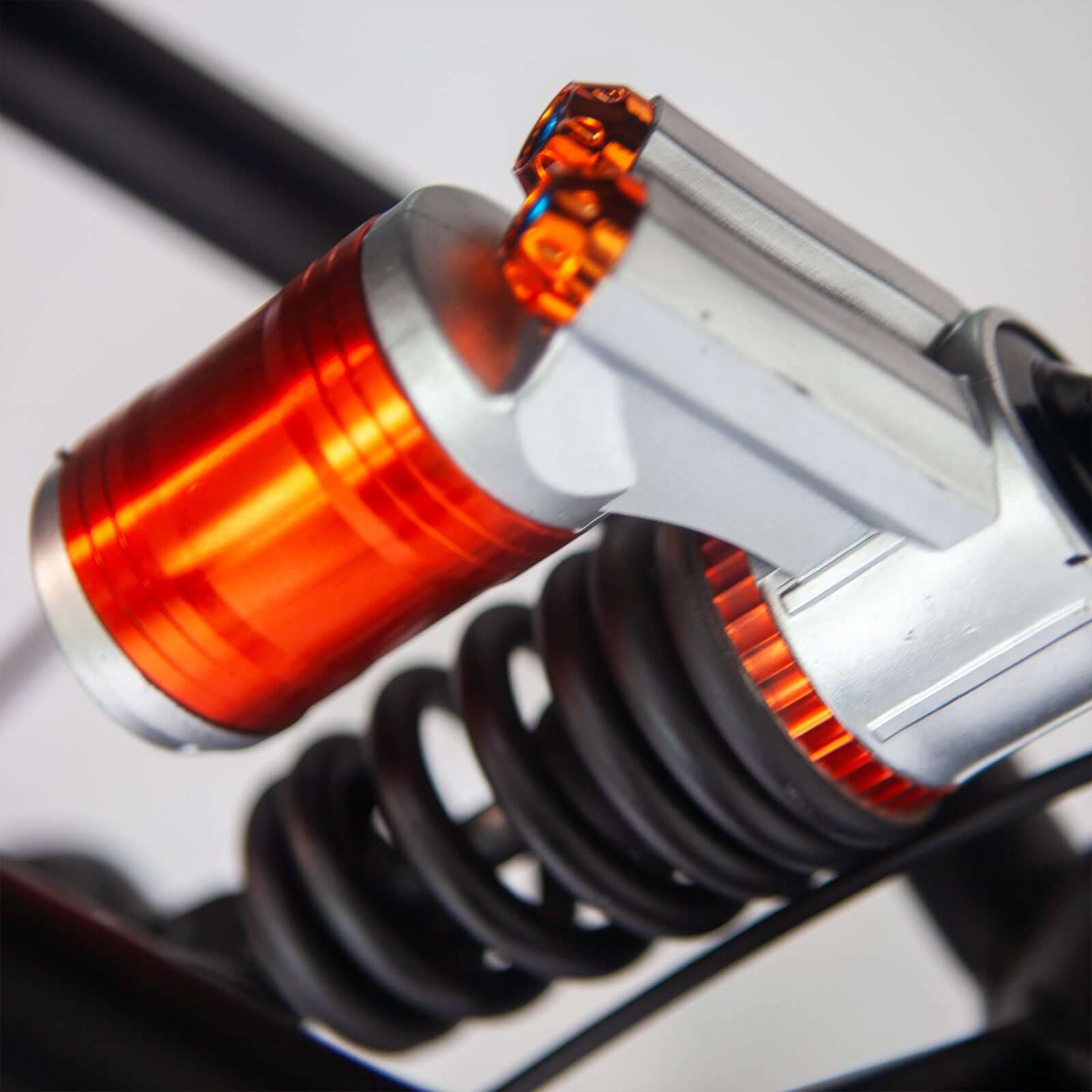 Ferox Raptor LE
