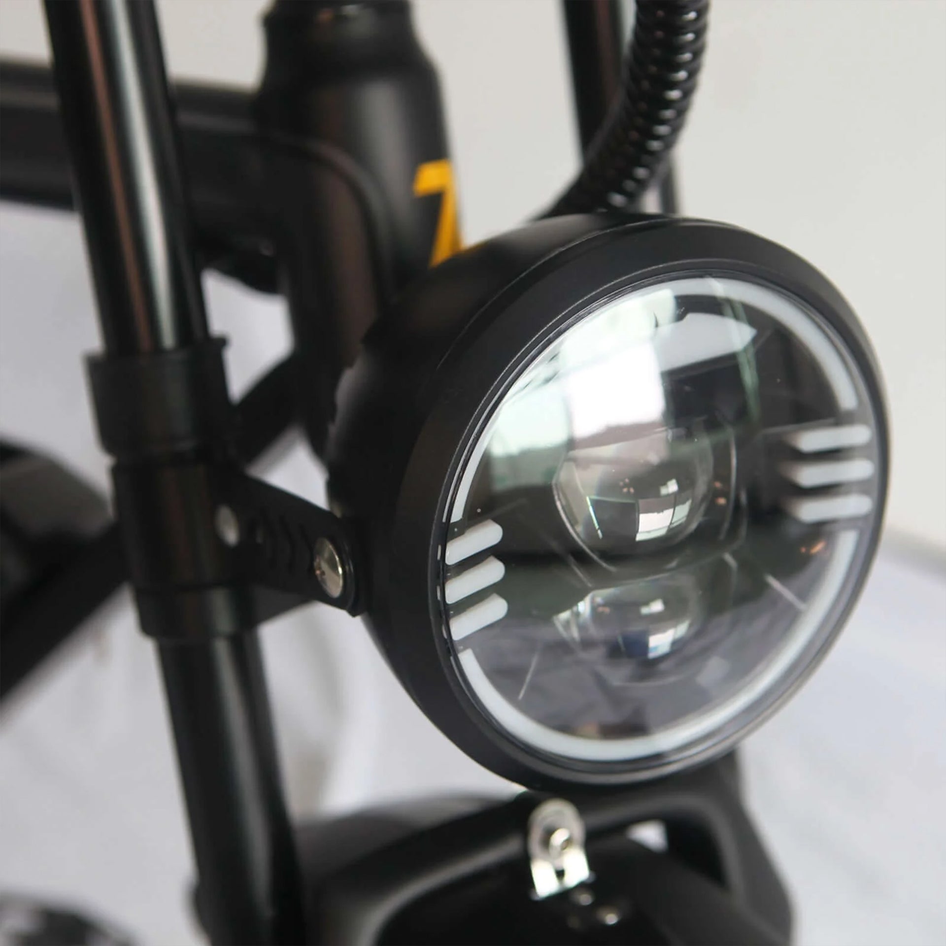 Ferox Raptor LE