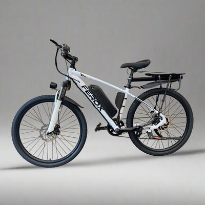 Ferox City Cruiser