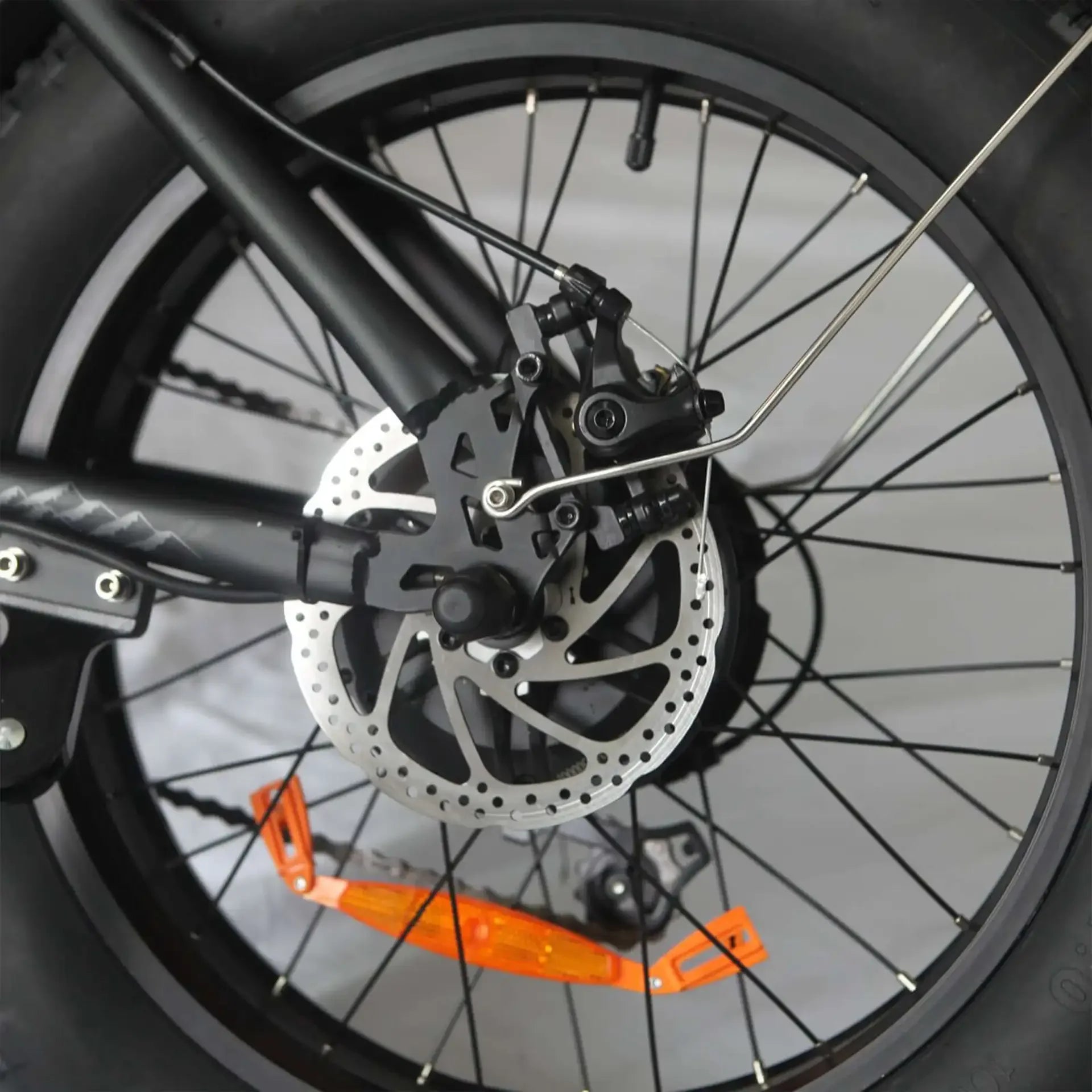 Ferox Raptor LE - Ferox Bikes