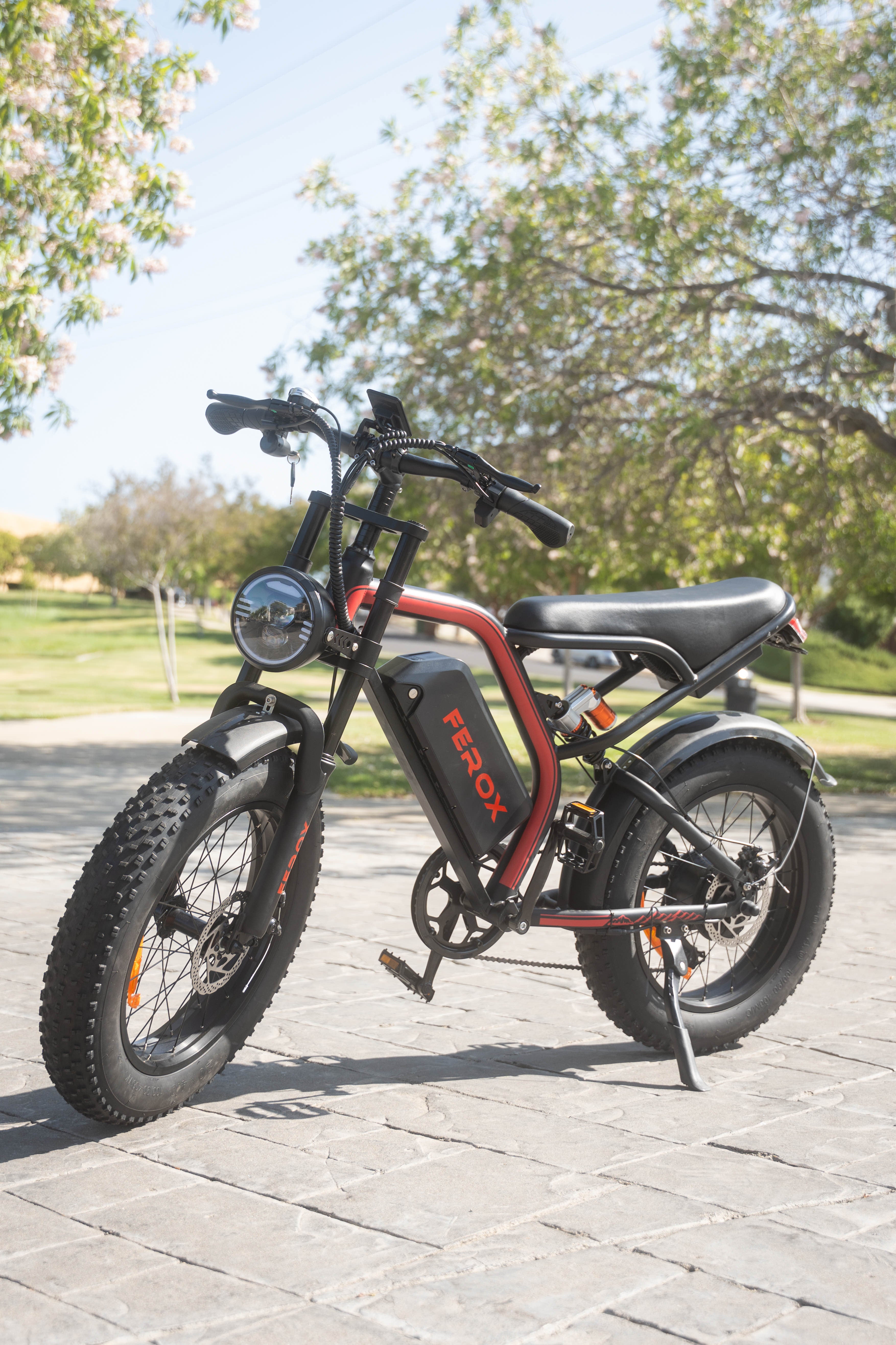 Raptor LE eBike